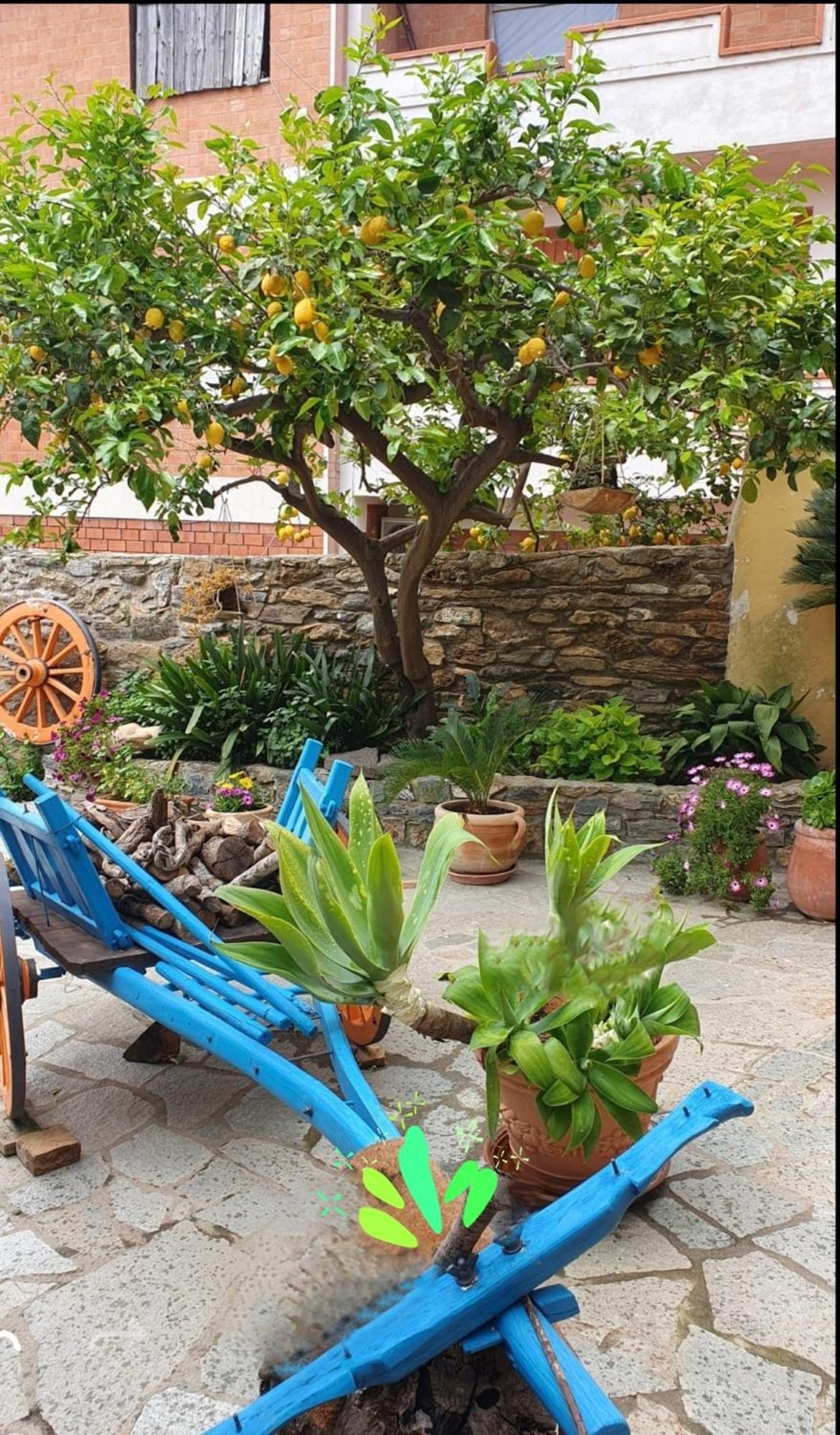 Su Carreri Bed and Breakfast Armungia Buitenkant foto