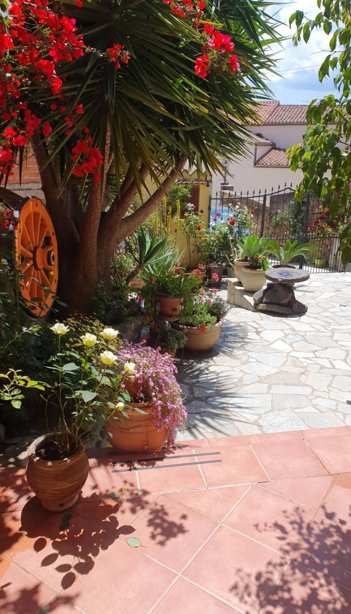 Su Carreri Bed and Breakfast Armungia Buitenkant foto