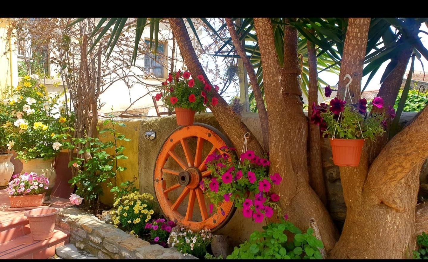 Su Carreri Bed and Breakfast Armungia Buitenkant foto